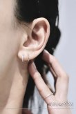 画像1: ▶︎ SILVER925 7ジルコニアプレートスパイラルラインピアス  (1)
