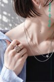 画像1: SECRET LOOK / 28. (1)