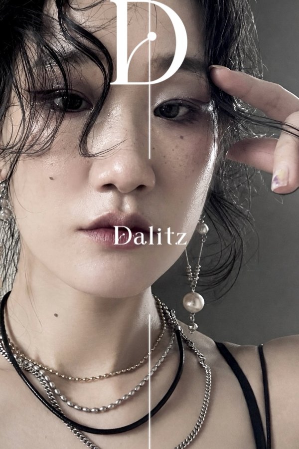 画像1: Dalitz-DP010 [P3467-DLZ] (1)