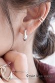 画像1: ステンレス ２Typeミニマルチャンキーピアス (1)